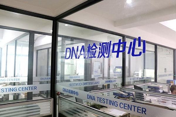 桂林DNA可以鉴定亲戚关系吗（探索亲缘关系的神奇基因） 
